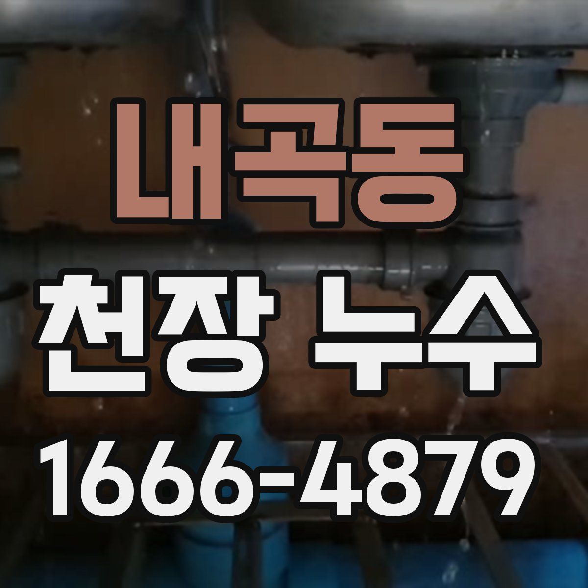 내곡동 천장 누수