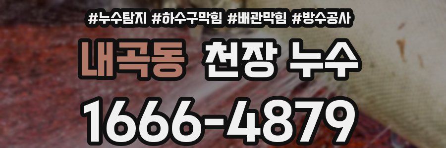 내곡동 천장 누수