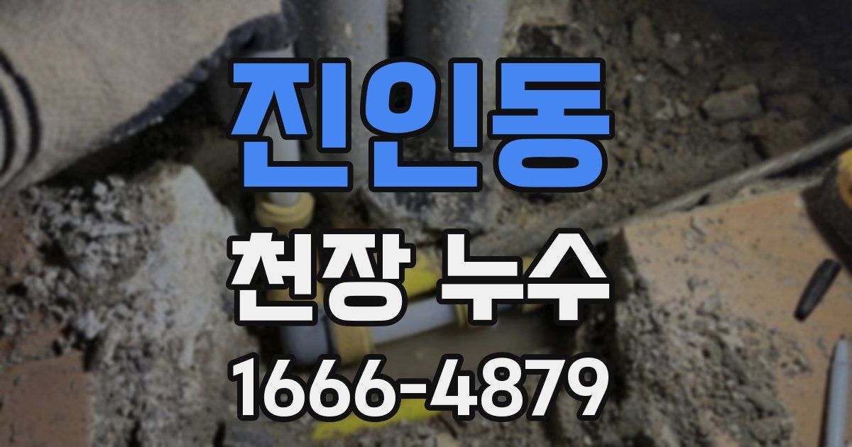 진인동 천장 누수