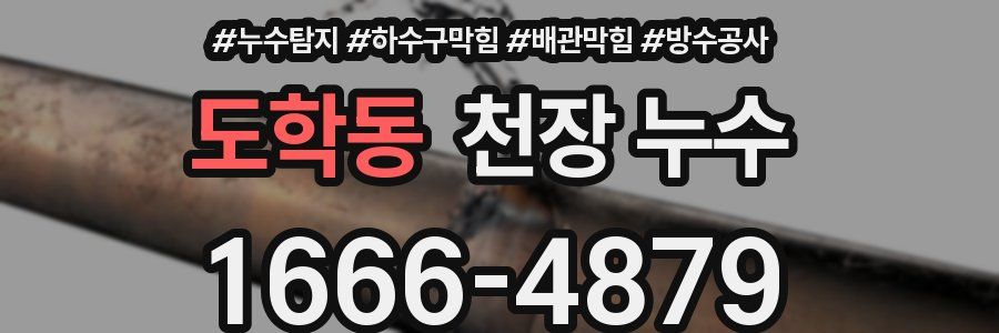 도학동 천장 누수