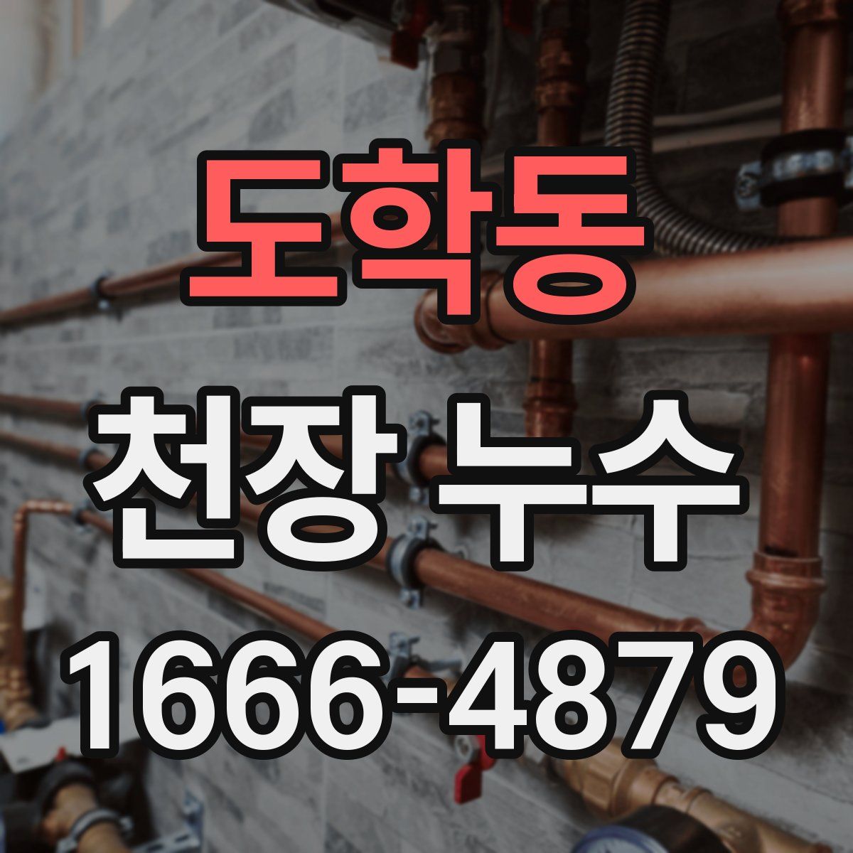 도학동 천장 누수