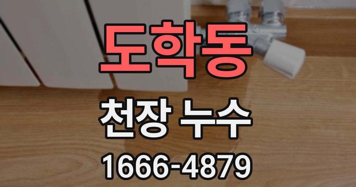 도학동 천장 누수