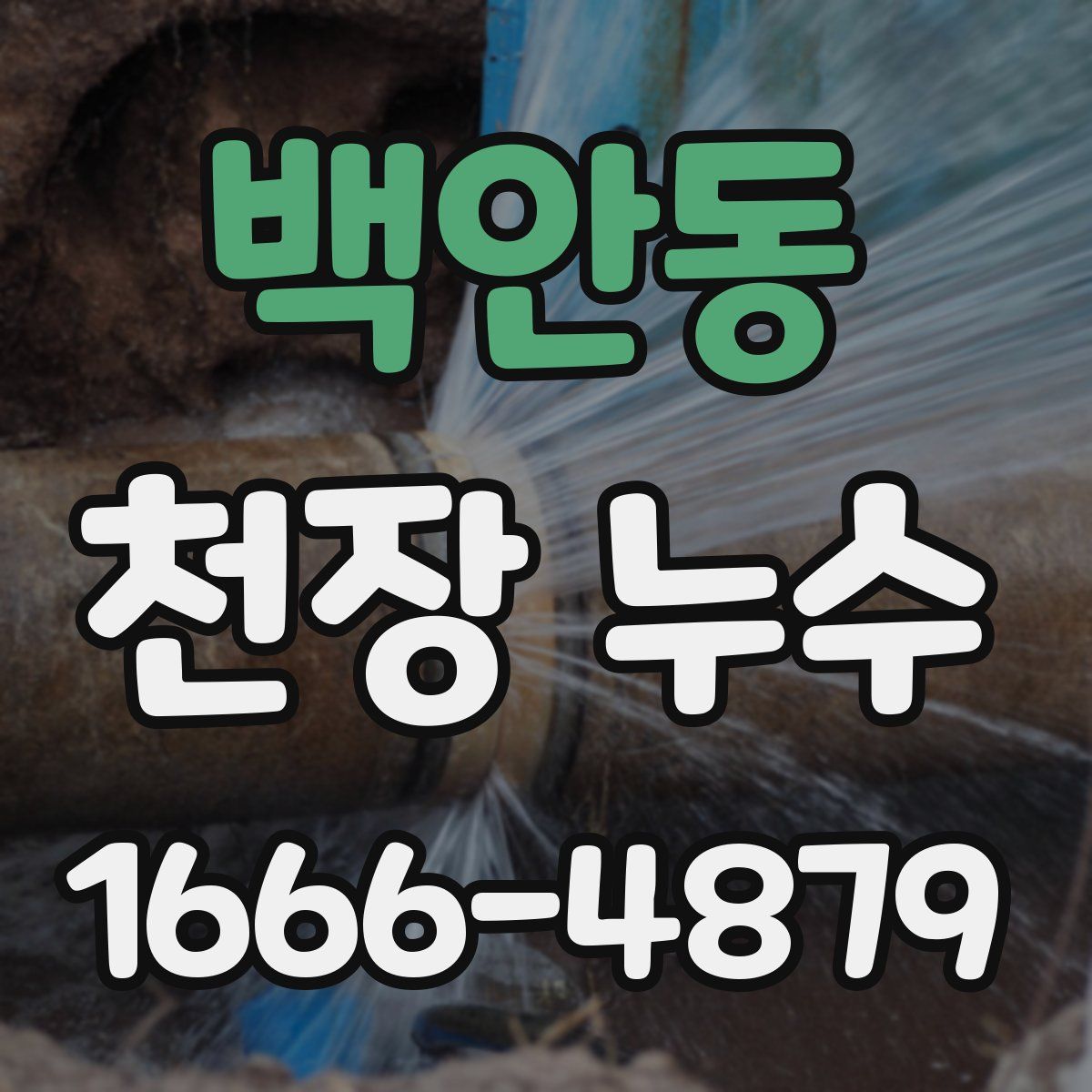 백안동 천장 누수