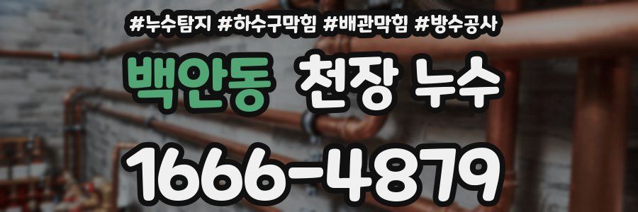 백안동 천장 누수