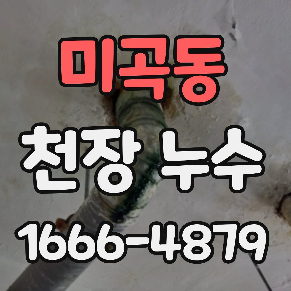 미곡동 천장 누수