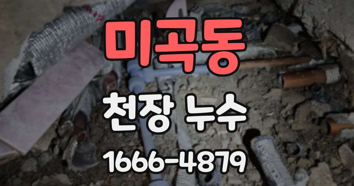 미곡동 천장 누수