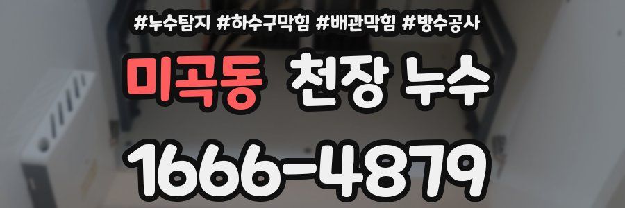 미곡동 천장 누수