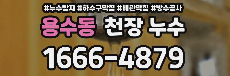 용수동 천장 누수