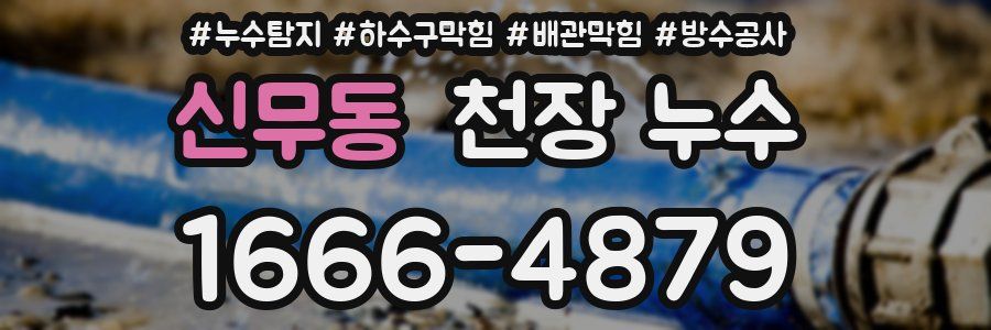 신무동 천장 누수