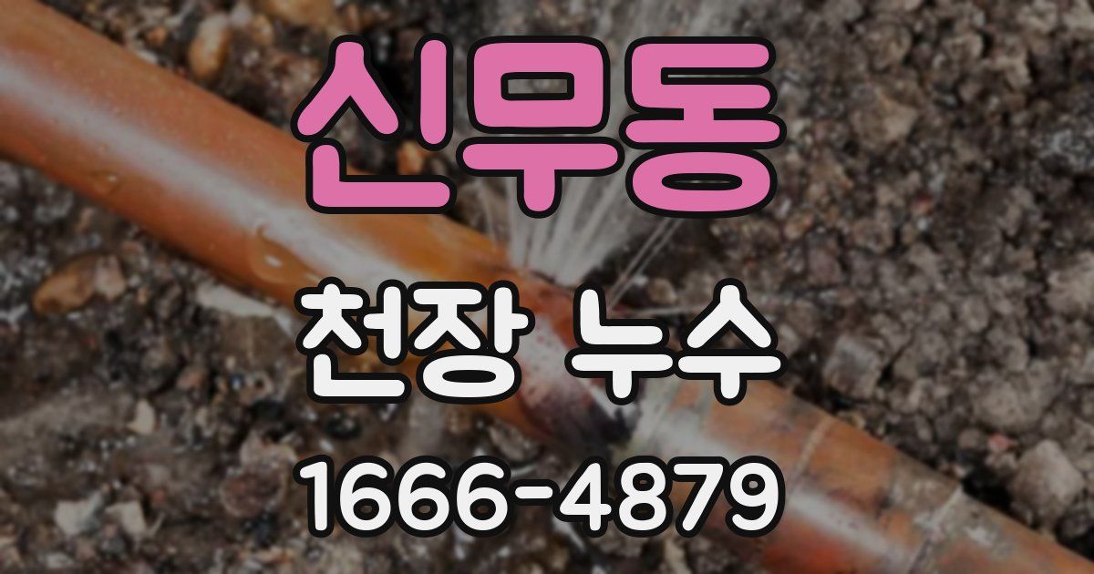 신무동 천장 누수