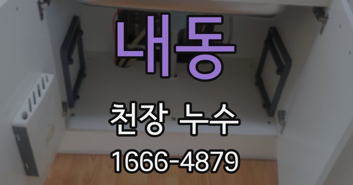 내동 천장 누수