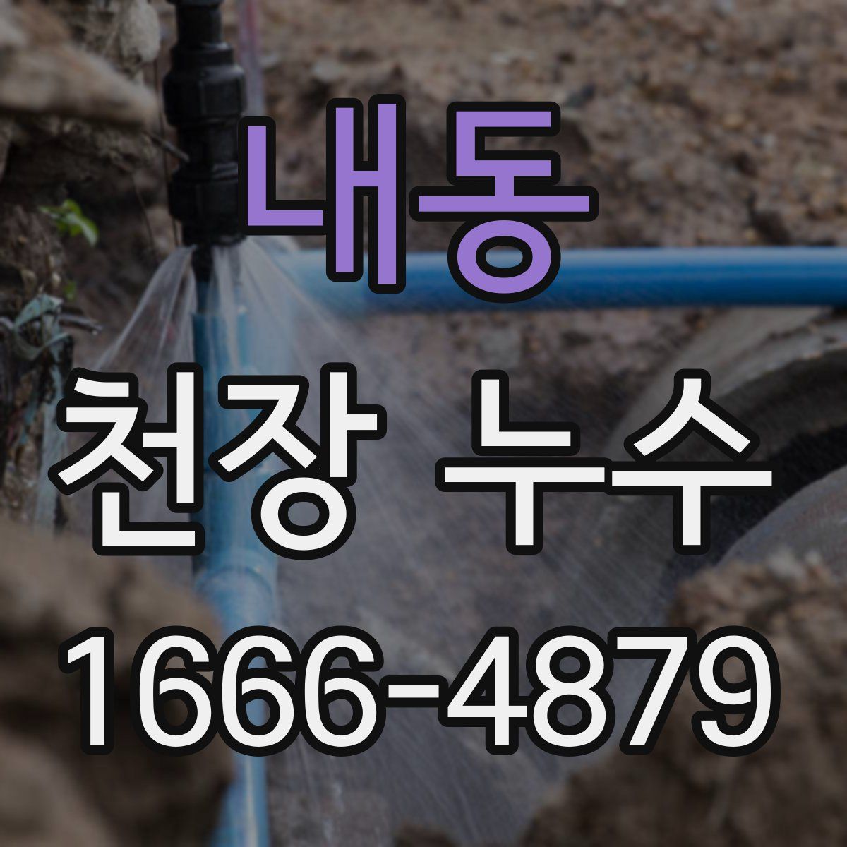 내동 천장 누수