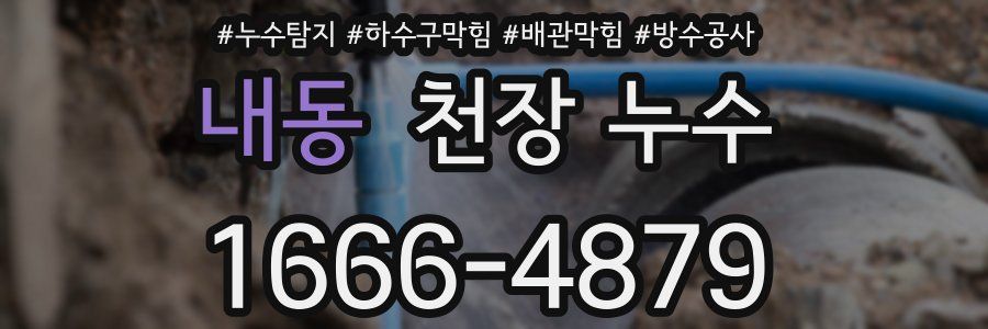 내동 천장 누수