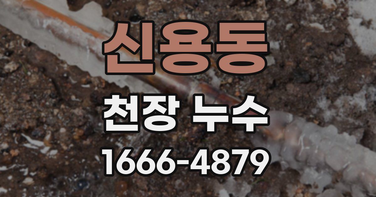 신용동 천장 누수
