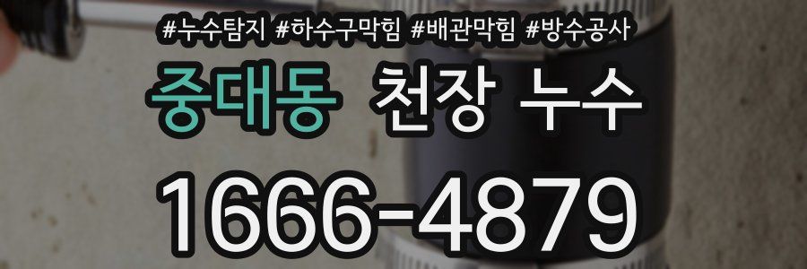 중대동 천장 누수