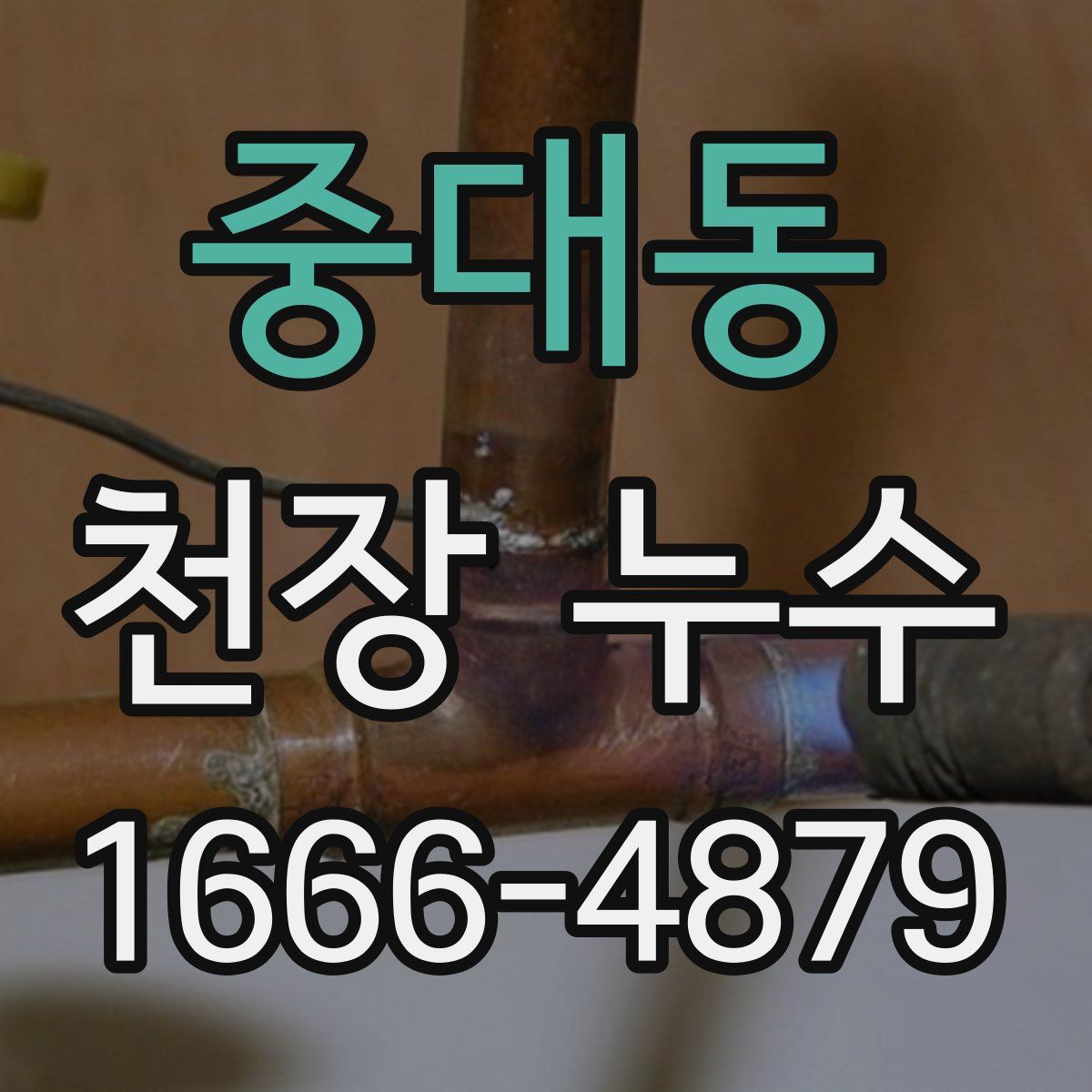 중대동 천장 누수