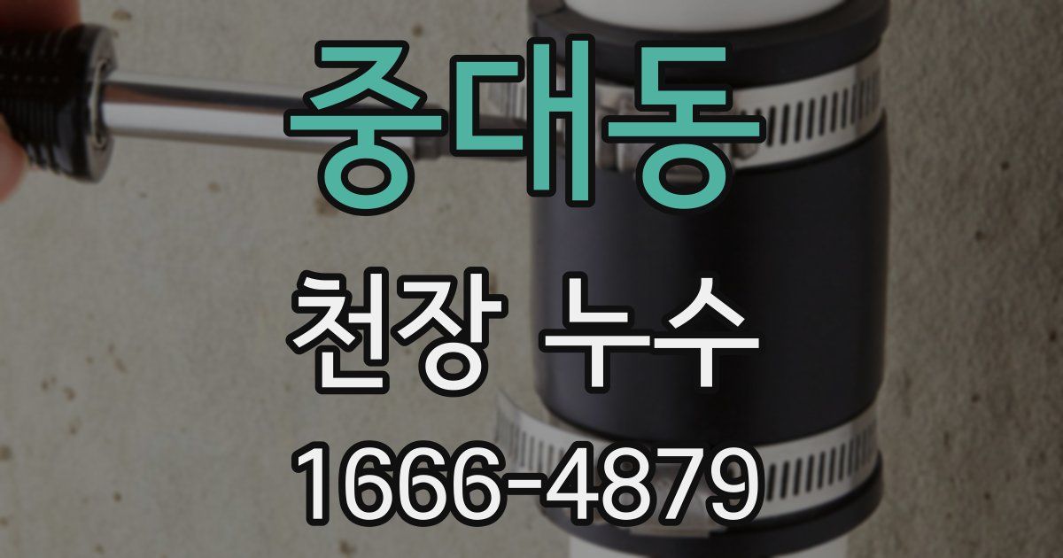 중대동 천장 누수