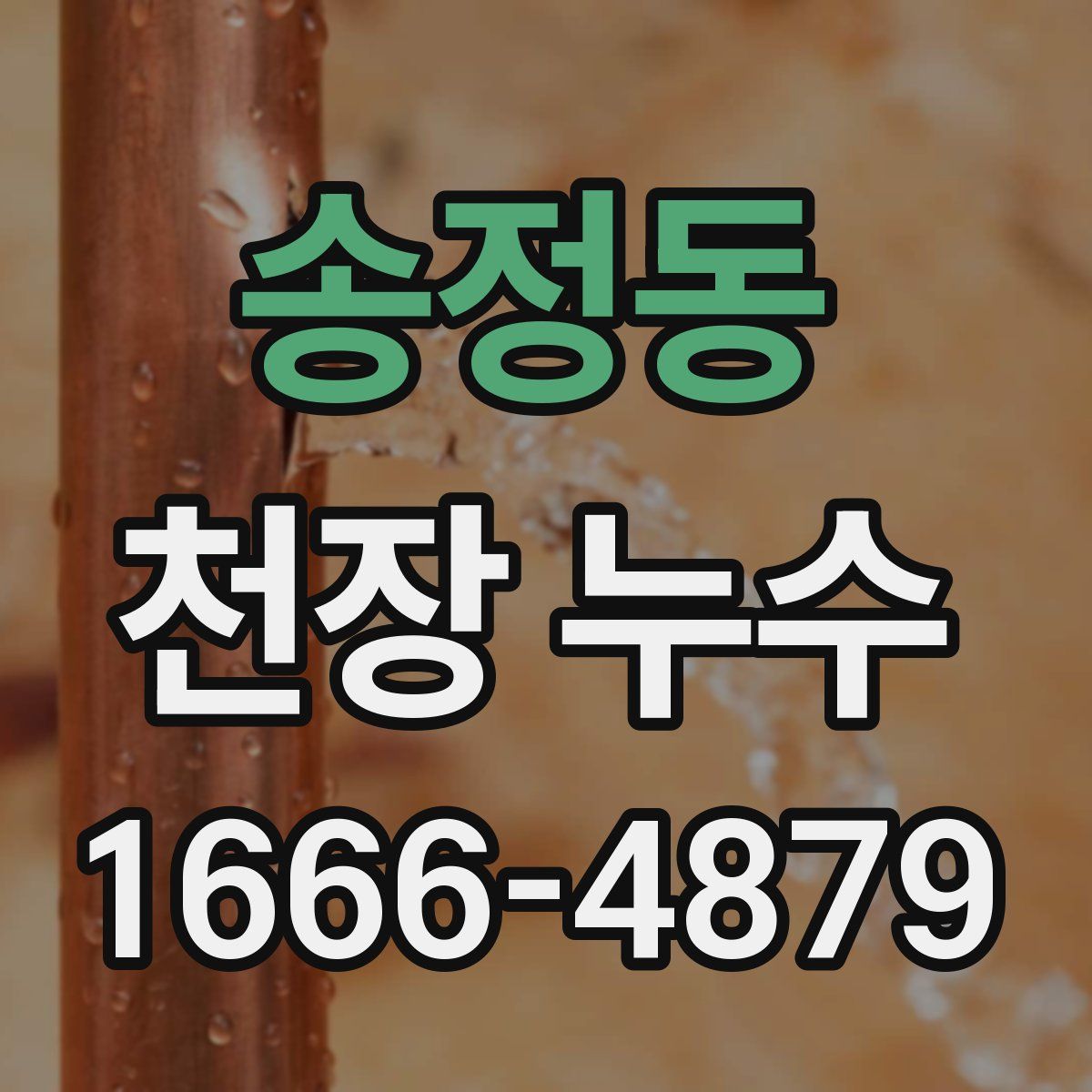송정동 천장 누수