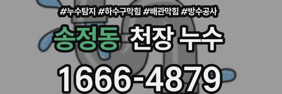 송정동 천장 누수