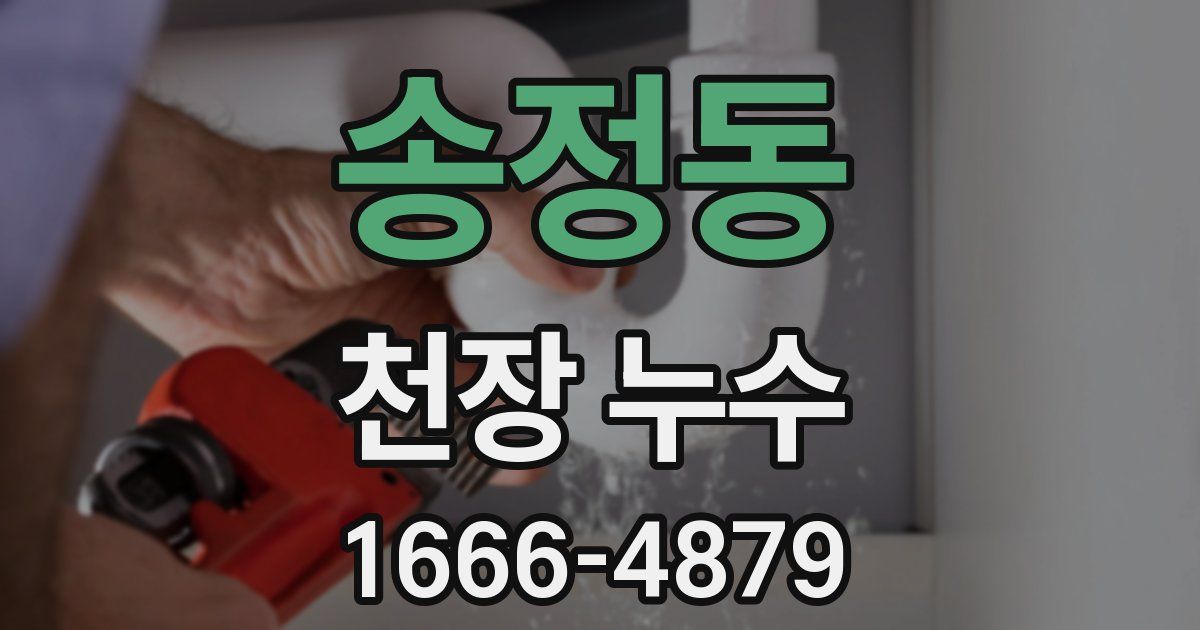 송정동 천장 누수