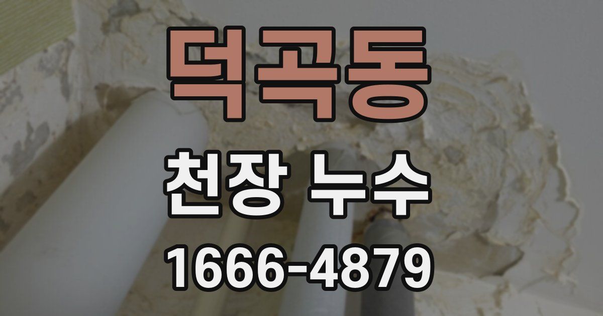 덕곡동 천장 누수