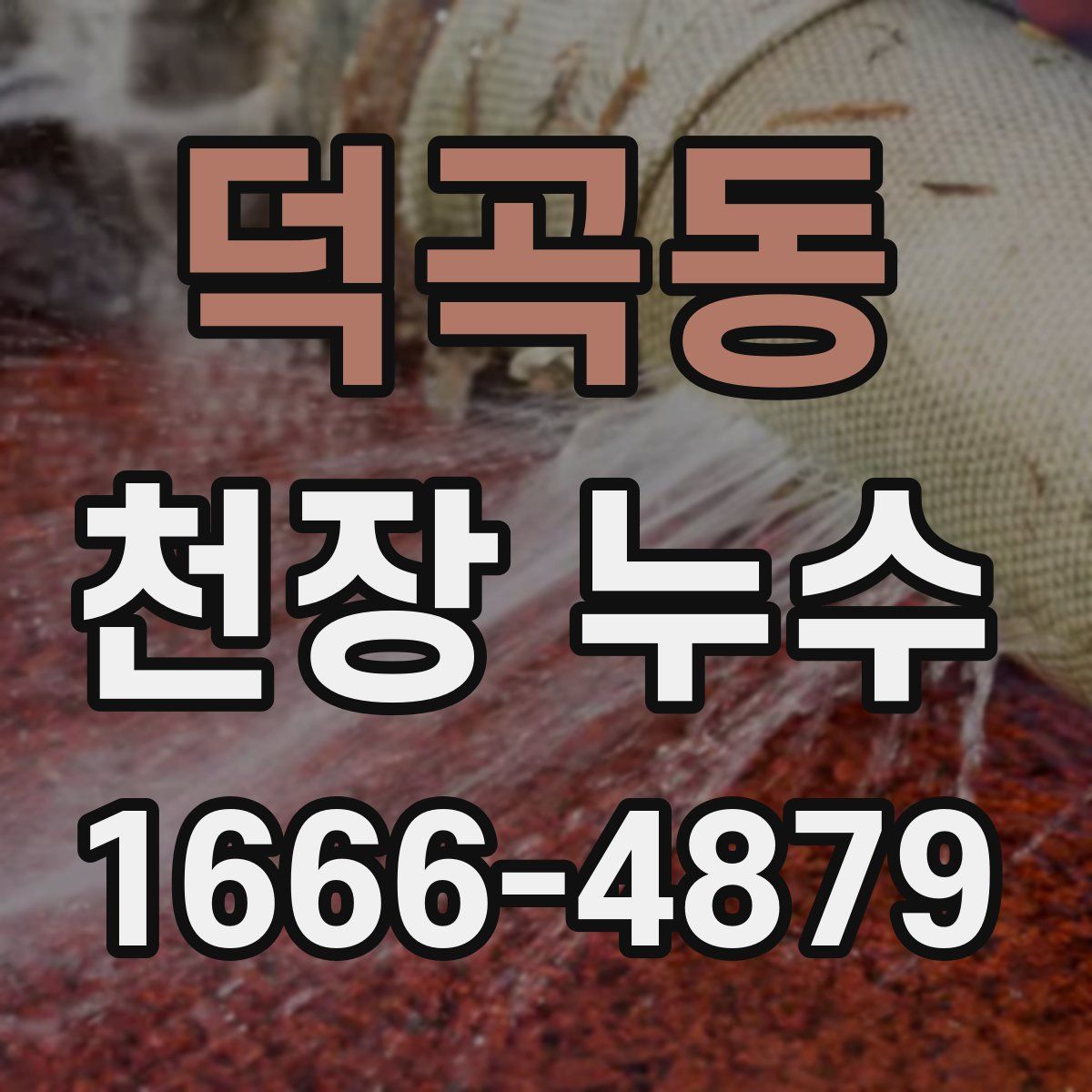 덕곡동 천장 누수