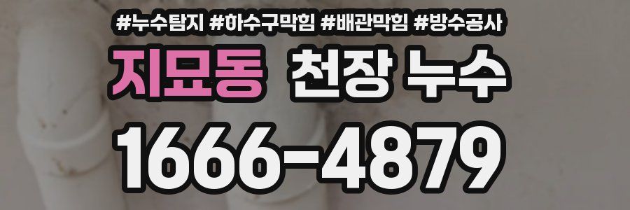 지묘동 천장 누수