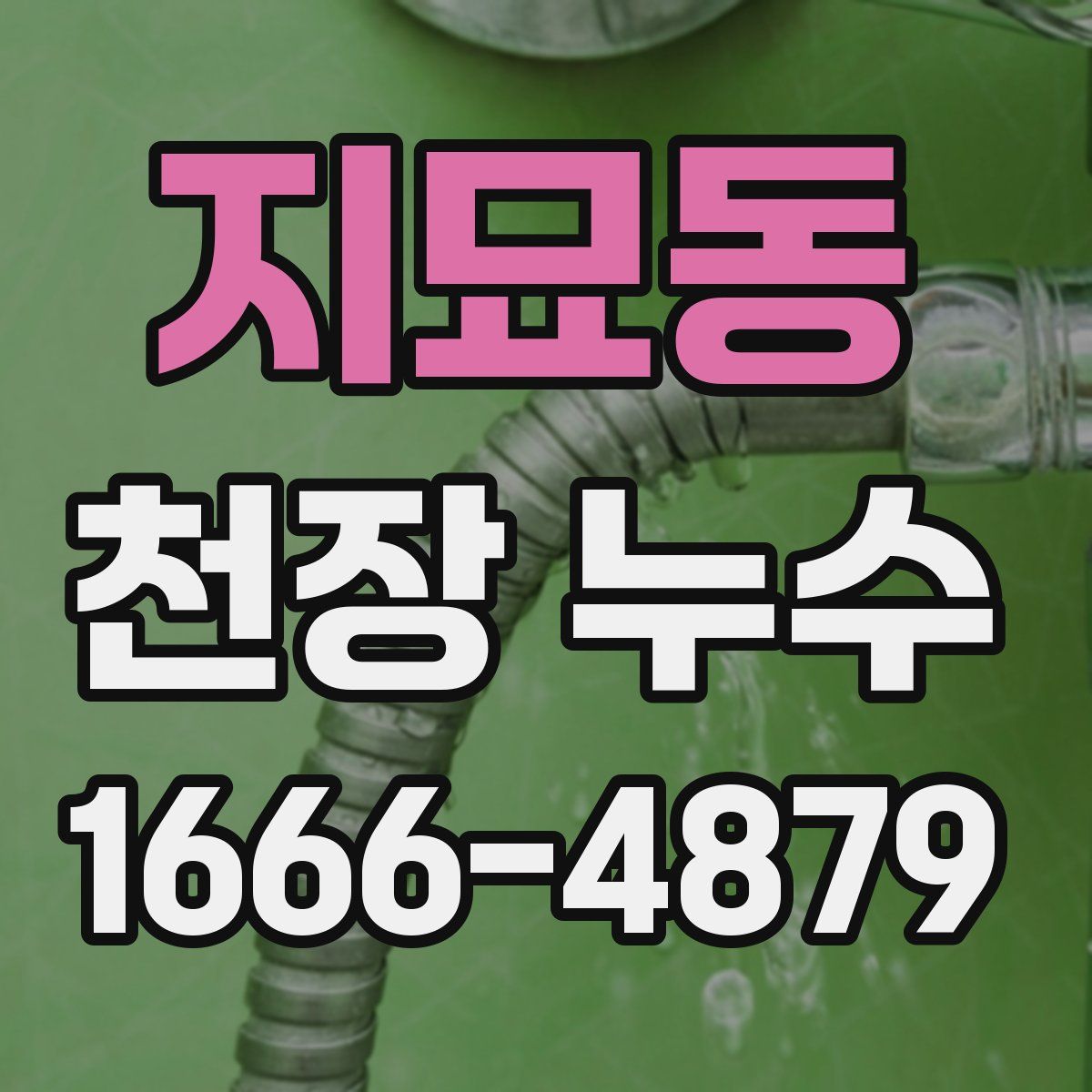 지묘동 천장 누수