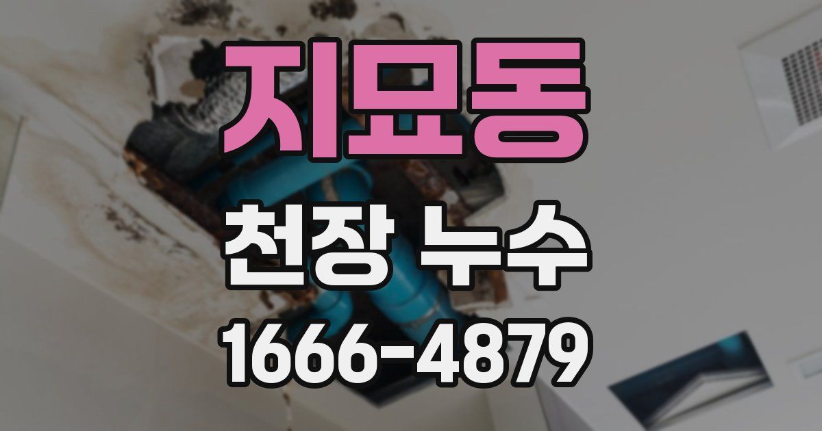 지묘동 천장 누수
