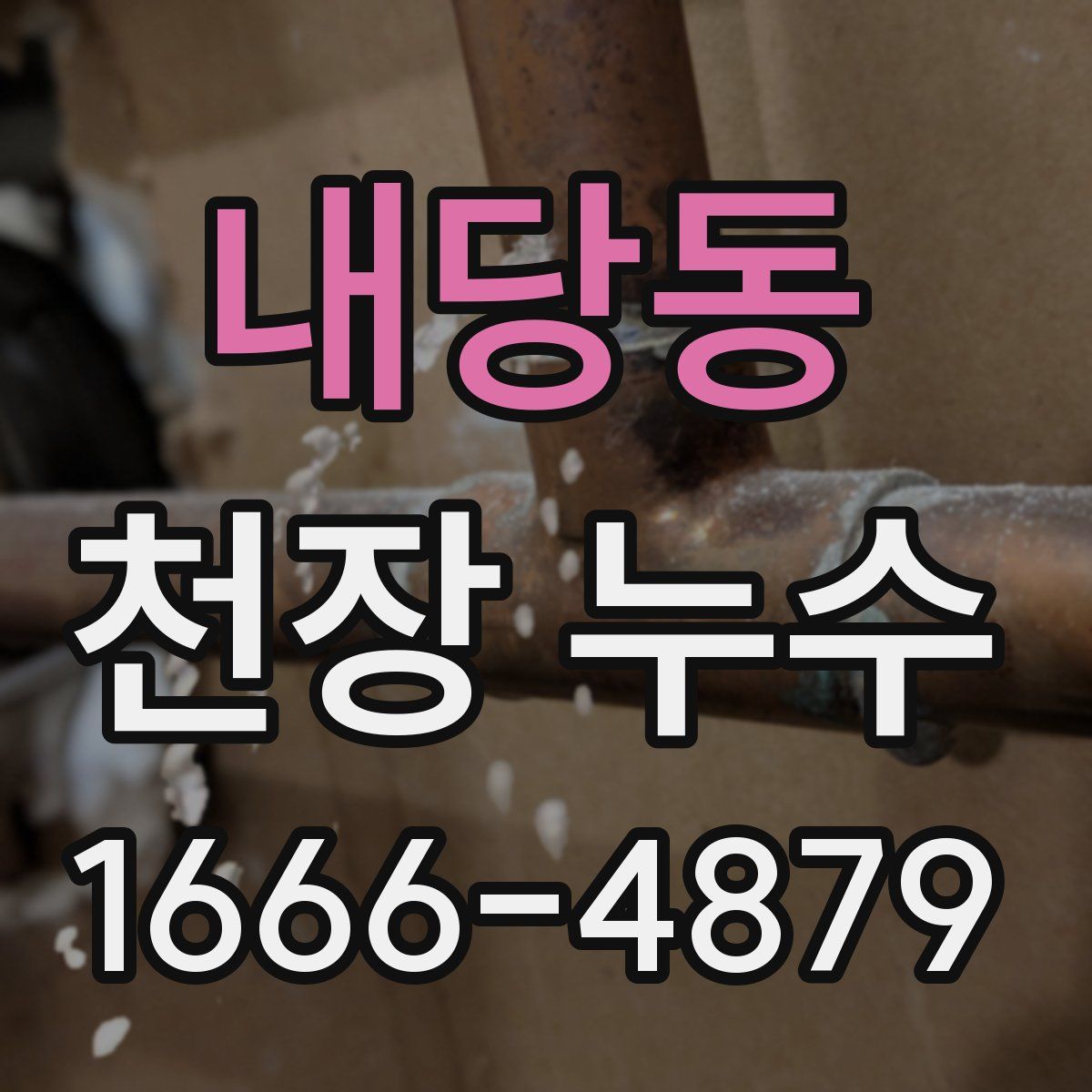 내당동 천장 누수