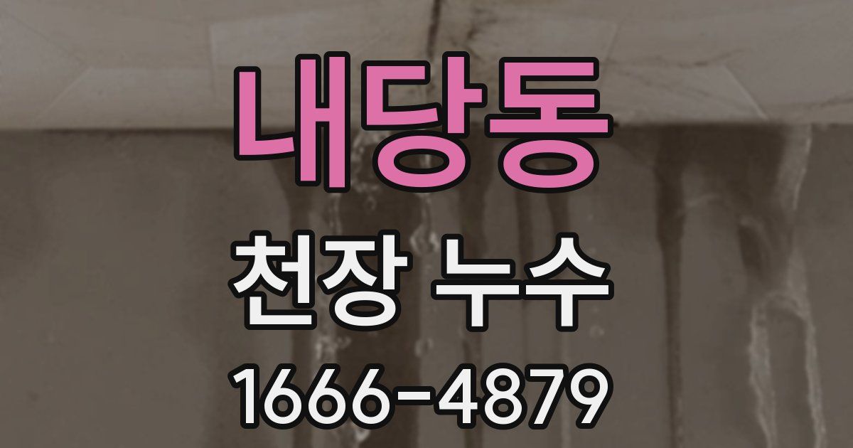 내당동 천장 누수