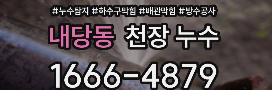 내당동 천장 누수