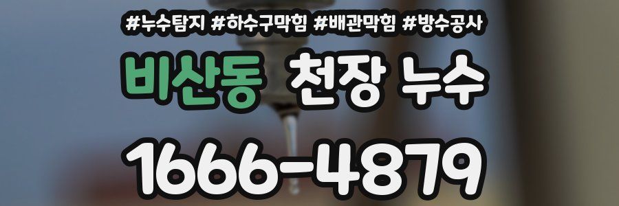 비산동 천장 누수