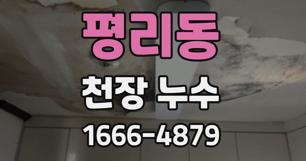 평리동 천장 누수