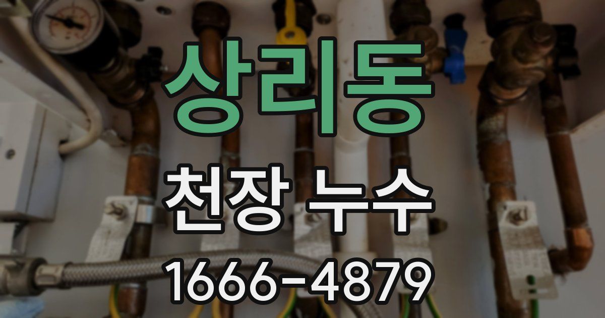 상리동 천장 누수