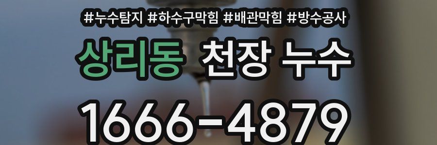 상리동 천장 누수