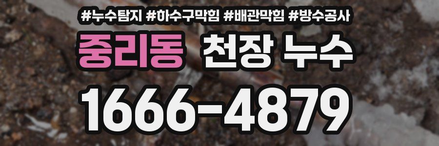 중리동 천장 누수