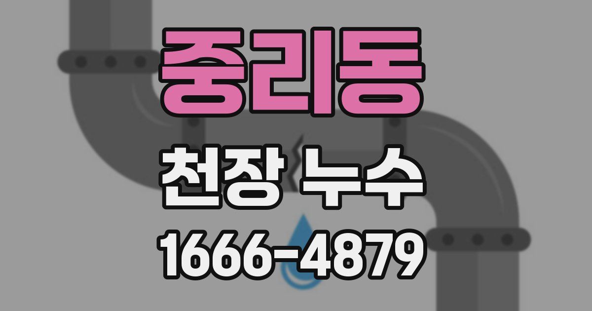 중리동 천장 누수