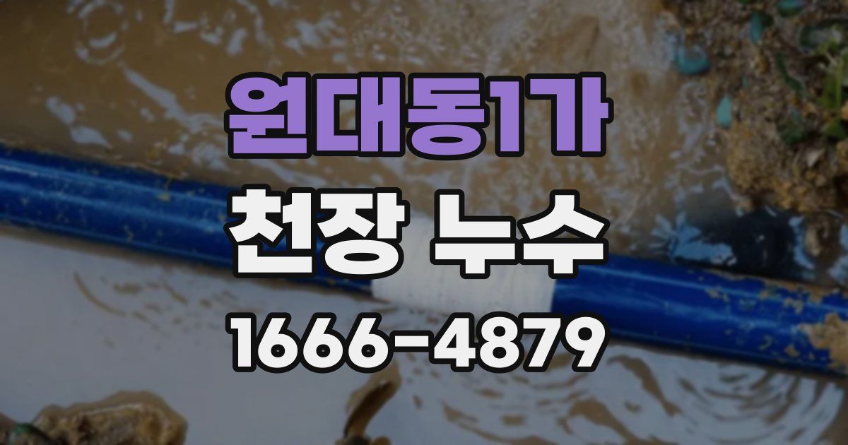 원대동1가 천장 누수