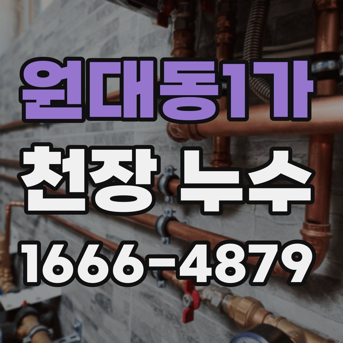 원대동1가 천장 누수
