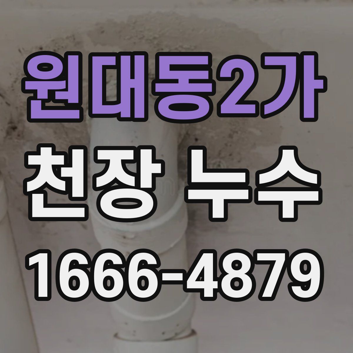 원대동2가 천장 누수