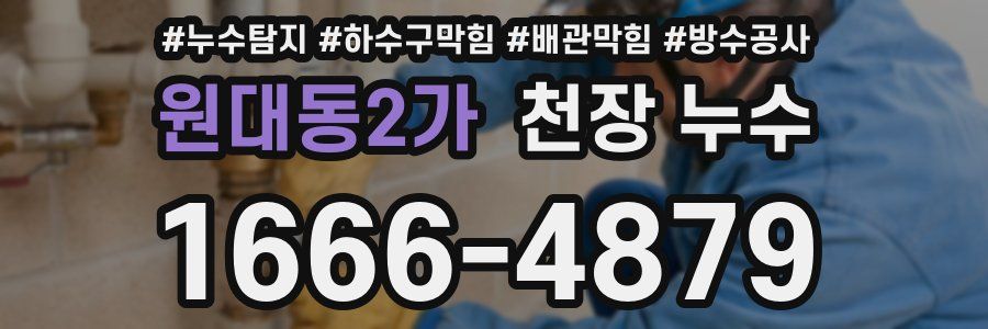 원대동2가 천장 누수