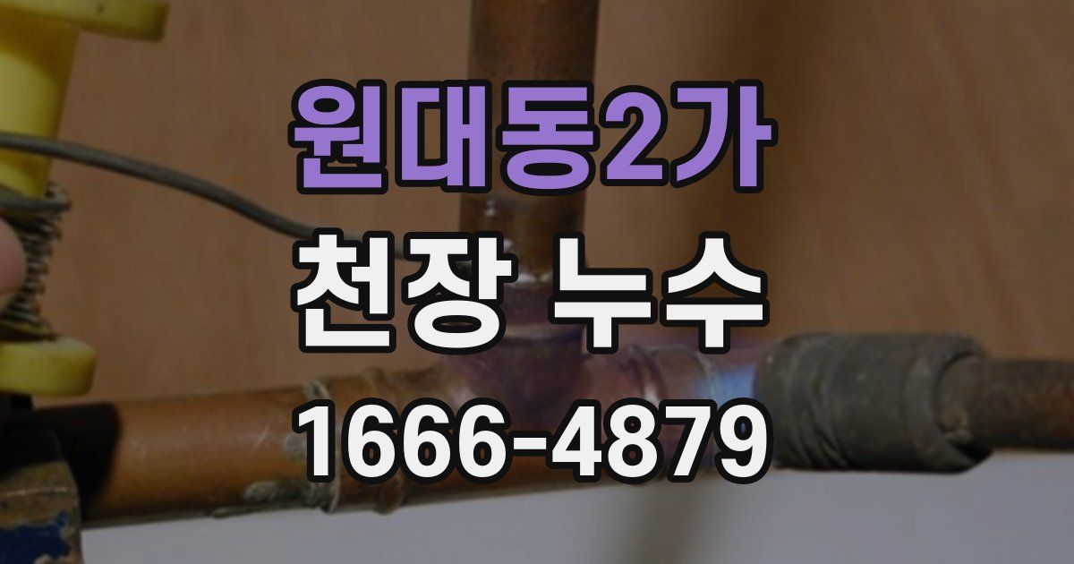 원대동2가 천장 누수