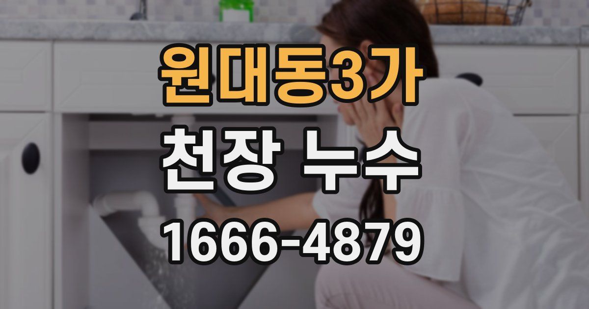원대동3가 천장 누수