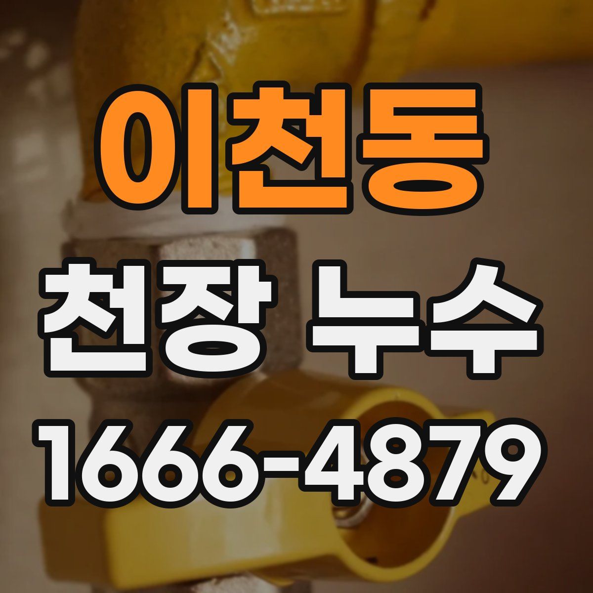 이천동 천장 누수
