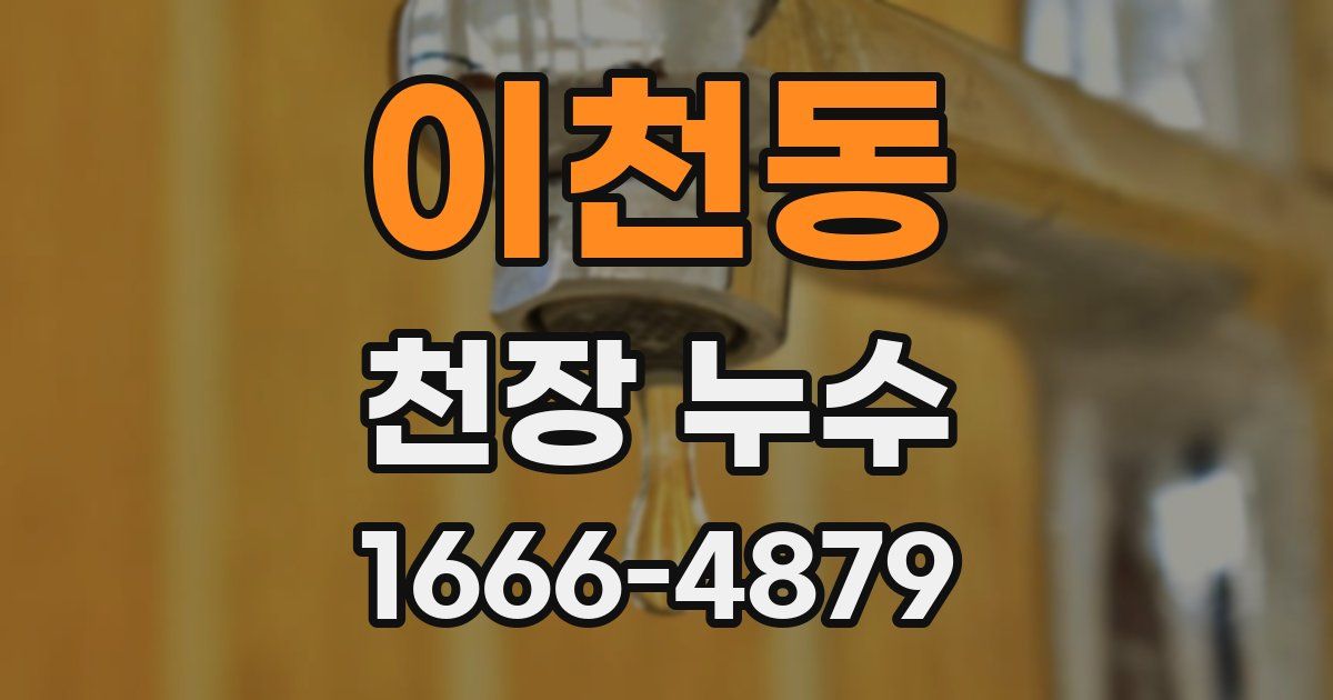 이천동 천장 누수