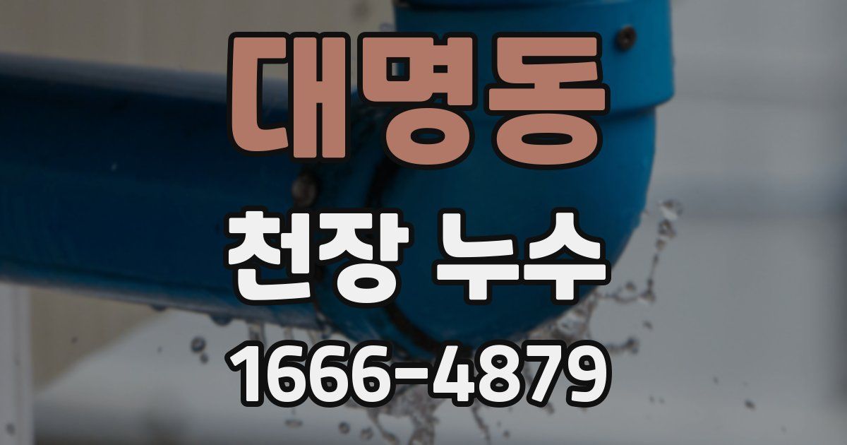 대명동 천장 누수