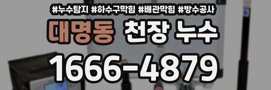 대명동 천장 누수