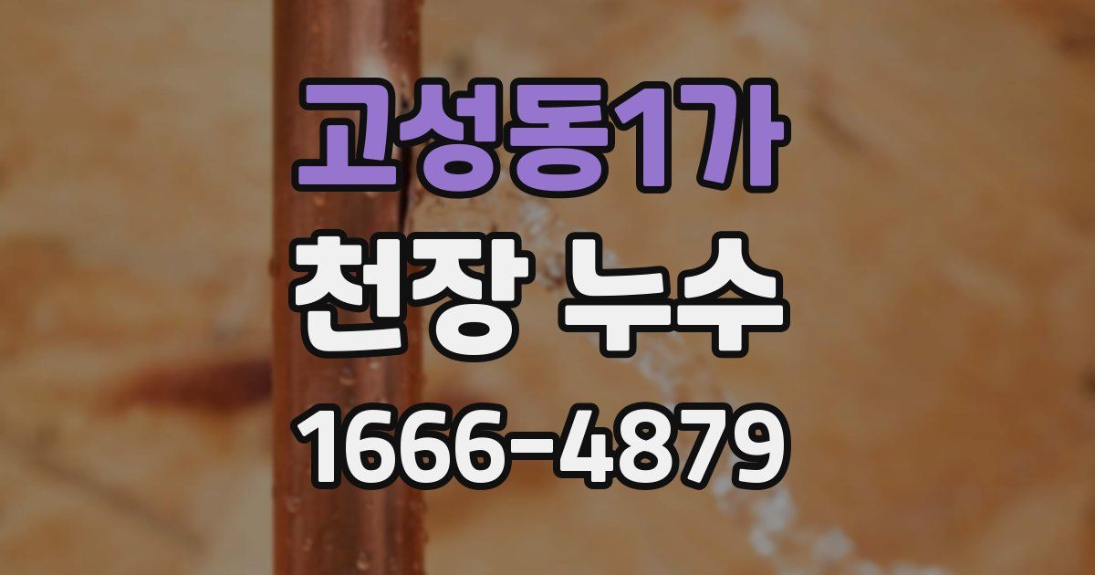 고성동1가 천장 누수
