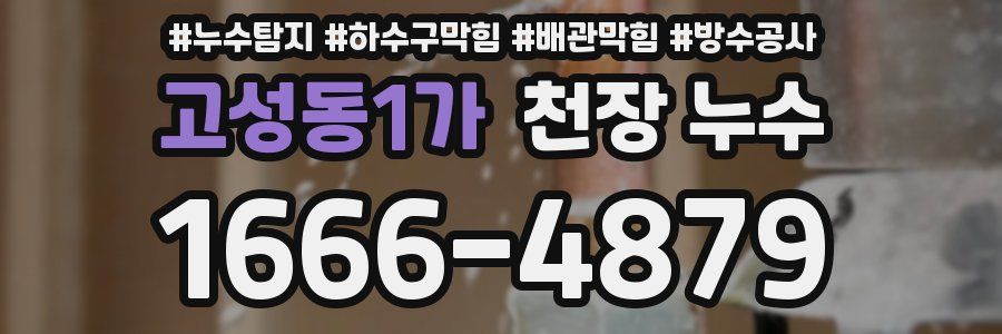고성동1가 천장 누수